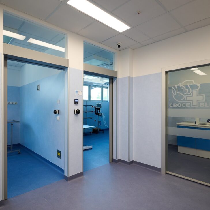 Croce Blu apre il Pronto Soccorso Veterinario: assistenza continua, ogni giorno, H24