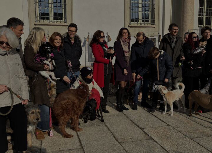 Pet Christmas: premiati i partecipanti