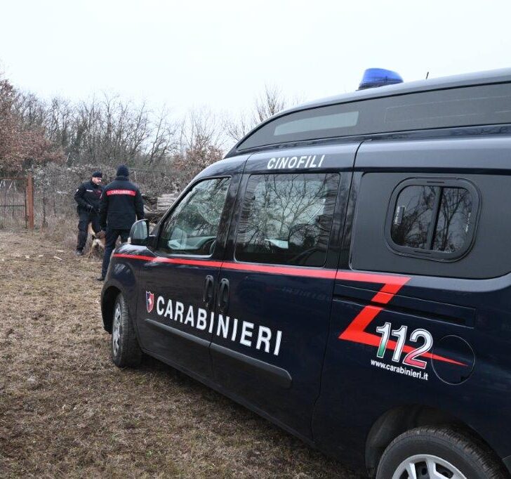 All’alba scatta nel novese operazione dei Carabinieri contro i “boschi della droga”