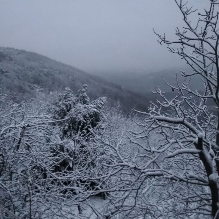 Risveglio con la neve in collina: le immagini dalla provincia