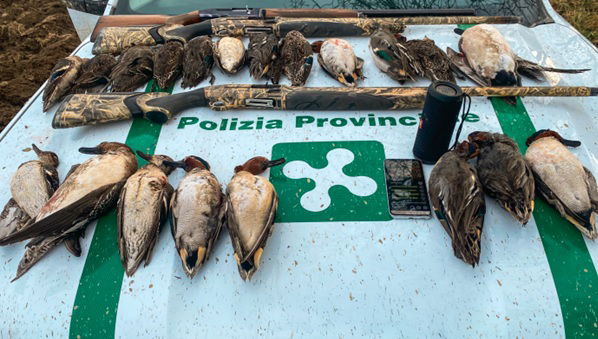 Richiami vietati per attirare anatre selvatiche: tre denunciati lungo il fiume Po