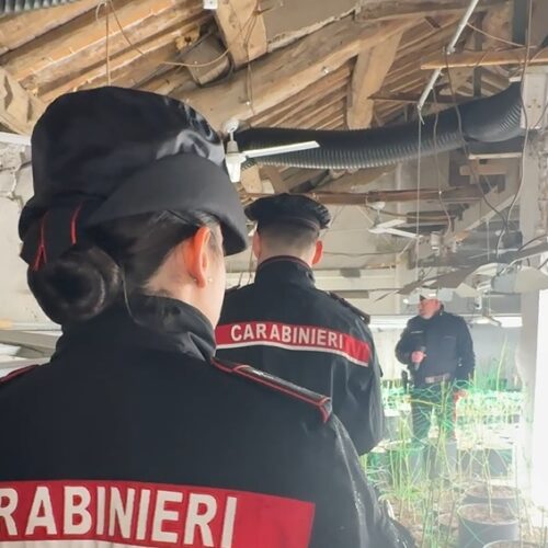 Nella cascina trasformata in una “fabbrica della marijuana” dove è stata sequestrata droga per oltre 1 milione di euro