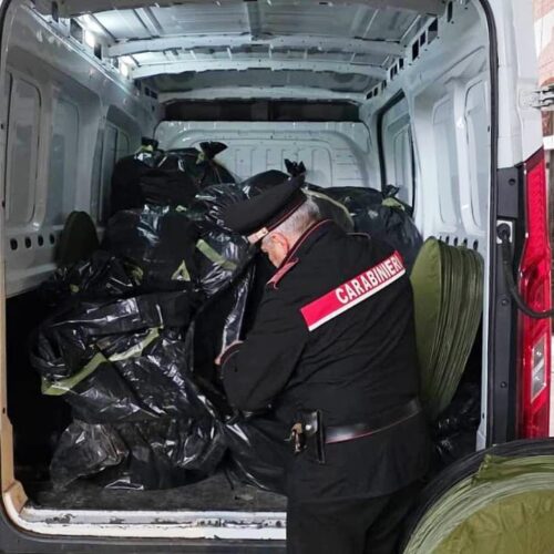 Sovraccarichi e blackout portano i Carabinieri a una “fabbrica dello sballo”: sequestrati 400 chili di marijuana