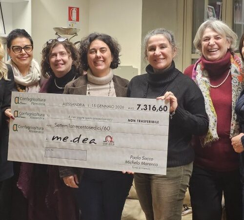 Oltre 7mila euro a me.dea grazie alla campagna Clementine Antiviolenza