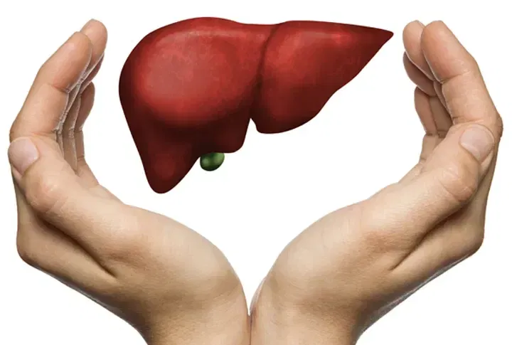 Epatite C, screening gratuito per tutto il 2026. In Piemonte già oltre 115 mila test effettuati