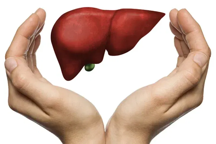 Epatite C, screening gratuito per tutto il 2026. In Piemonte già oltre 115 mila test effettuati