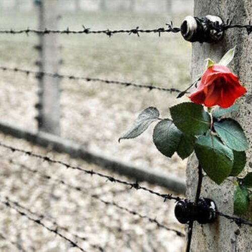 Giorno della Memoria: il percorso di ricordo e riflessione in provincia di Alessandria