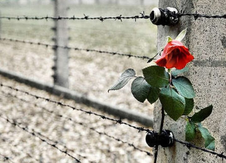 Giorno della Memoria: il percorso di ricordo e riflessione in provincia di Alessandria