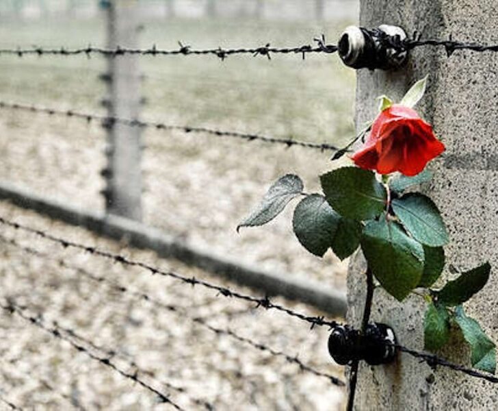 Giorno della Memoria: il percorso di ricordo e riflessione in provincia di Alessandria