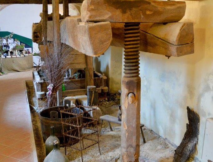 Nel cuore del Monferrato il torchio più grande d’Europa e la rinascita del Ruchè – Piemonte da Scoprie