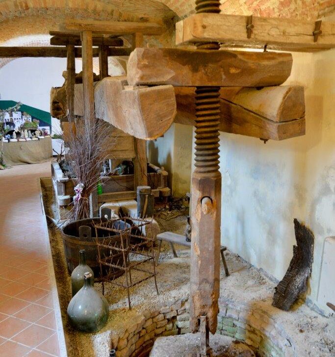 Nel cuore del Monferrato il torchio più grande d’Europa e la rinascita del Ruchè – Piemonte da Scoprie