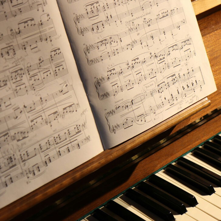 Cosa fare in provincia di Alessandria. Gli eventi di domenica 11 gennaio