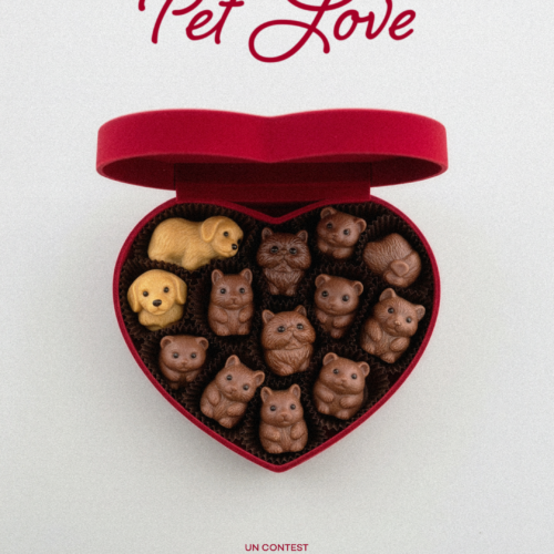 Carezze e scodinzolii: quanto amate i vostri amici a 4 zampe? Dimostratelo con Pet Love