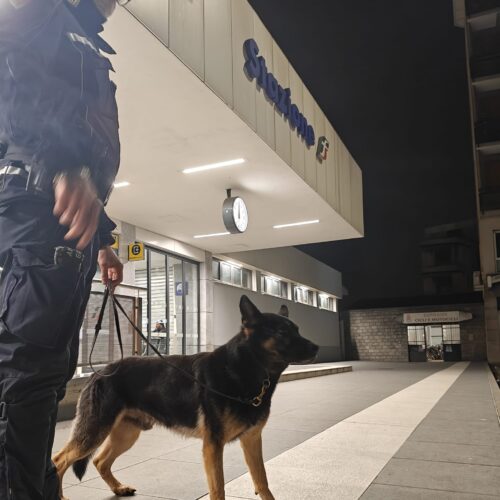 Controlli straordinari a Pavia e Vigevano: identificate oltre 250 persone