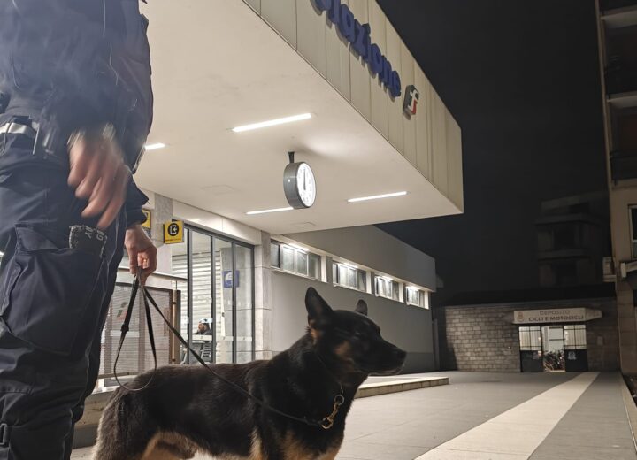 Controlli straordinari a Pavia e Vigevano: identificate oltre 250 persone