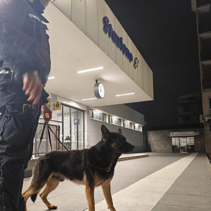 Controlli straordinari a Pavia e Vigevano: identificate oltre 250 persone
