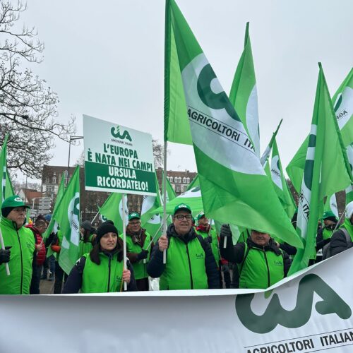 Cia protesta a Strasburgo: “A rischio 40mila posti e giro d’affari da 22 miliardi di zootecnia Made in Italy”