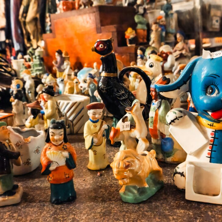 Cosa fare in provincia di Alessandria. Gli eventi di sabato 31 gennaio