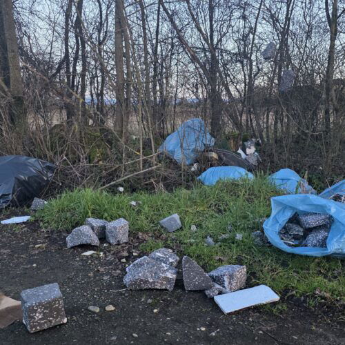 “Decine di sacchi di rifiuti abbandonati lungo la campagna”