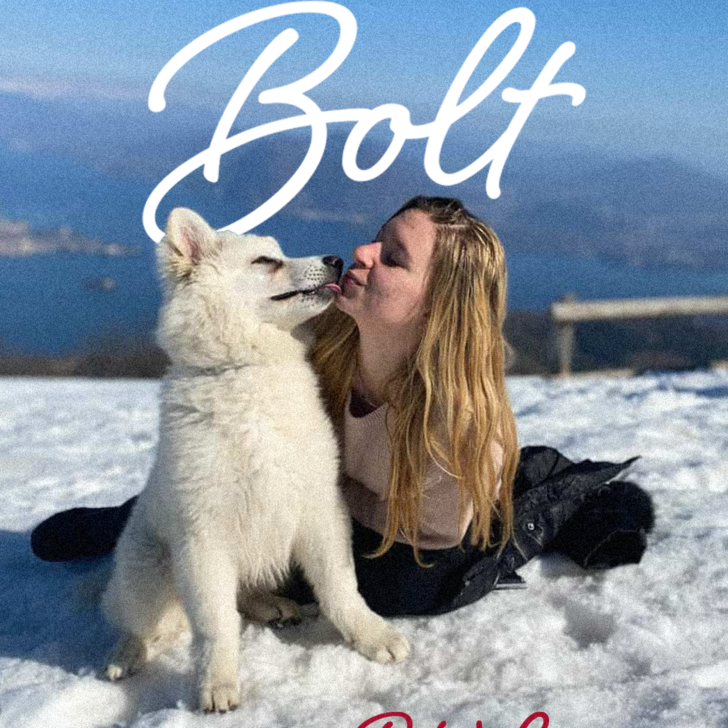 Bolt vince Pet Love: il bacio con Anastasia conquista la community di RadioGold