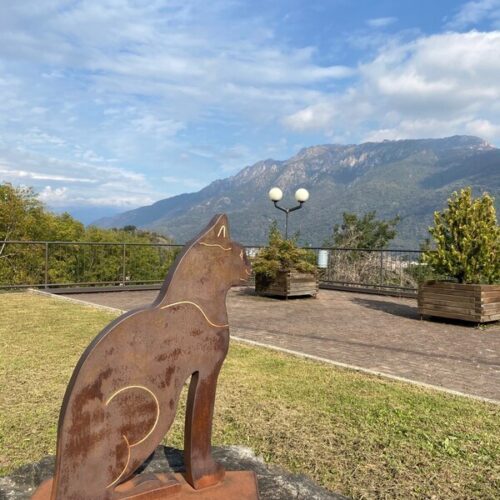 Brolo, il “paese dei gatti” sul Lago d’Orta. Una storia piemontese da riscoprire nella Giornata del Gatto