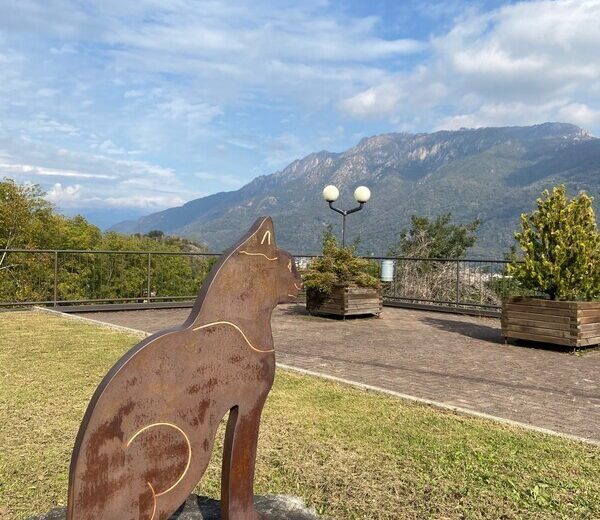 Brolo, il “paese dei gatti” sul Lago d’Orta. Una storia piemontese da riscoprire nella Giornata del Gatto