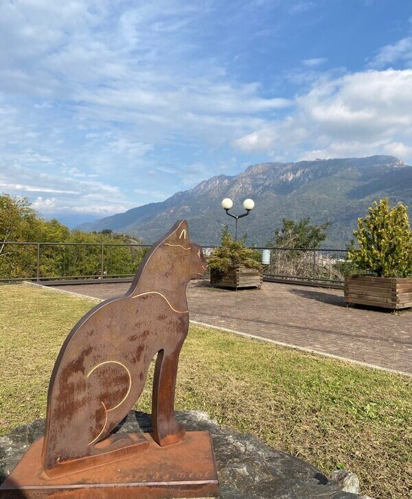 Brolo, il “paese dei gatti” sul Lago d’Orta. Una storia piemontese da riscoprire nella Giornata del Gatto