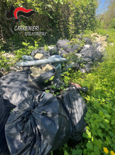 Rifiuti edili abbandonati su un terreno. Forestali individuano responsabili e scatta maxi sanzione