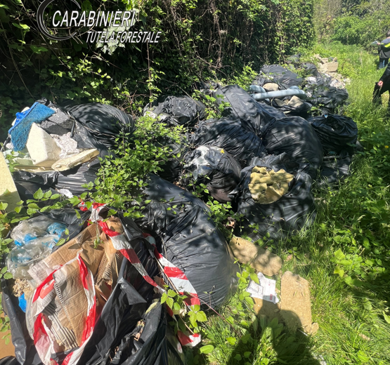 Rifiuti edili abbandonati su un terreno. Forestali individuano responsabili e scatta maxi sanzione