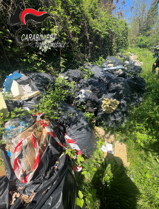 Rifiuti edili abbandonati su un terreno. Forestali individuano responsabili e scatta maxi sanzione