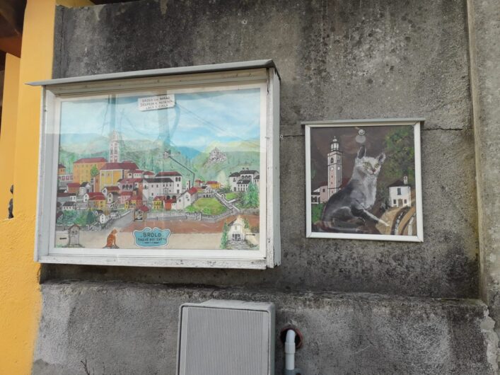 Brolo, il “paese dei gatti” sul Lago d’Orta. Una storia piemontese da riscoprire nella Giornata del Gatto