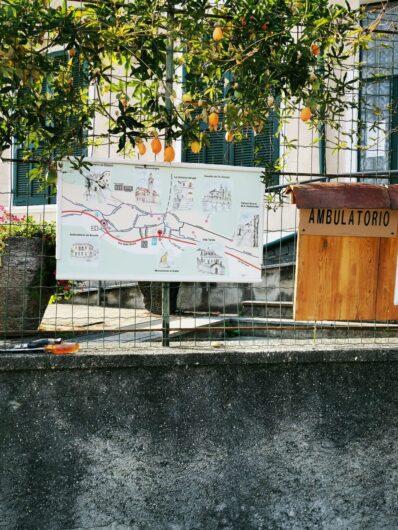 Brolo, il “paese dei gatti” sul Lago d’Orta. Una storia piemontese da riscoprire nella Giornata del Gatto