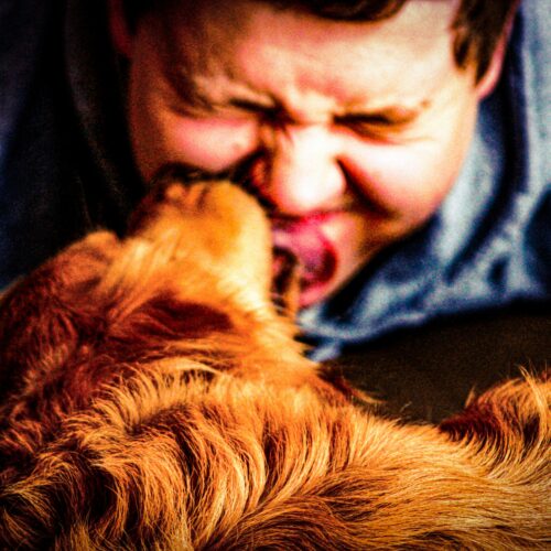 “Gli animali sono meglio degli uomini”. Il rapporto con gli animali che dovrebbe farci preoccupare