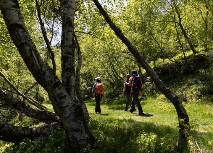 Cosa fare in provincia di Pavia sabato 28 febbraio e domenica 1° marzo