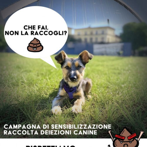 Deiezioni dei cani, il Comune di Alessandria richiama alle regole: multe fino a 500 euro