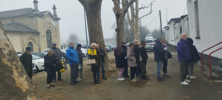 Festa del Gatto: ad Alessandria distribuito cibo alle oltre trecento colonie feline della città