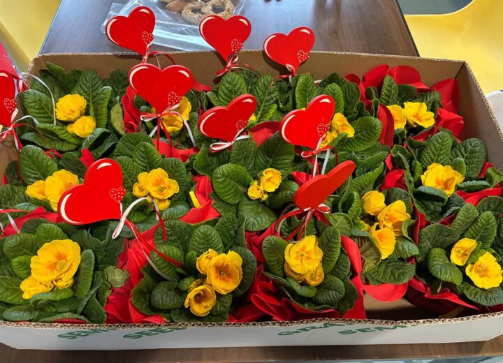 Fiori per pazienti e operatori dell’Hospice di Belgioioso. Il dono anonimo che  ha scaldato il cuore a San Valentino