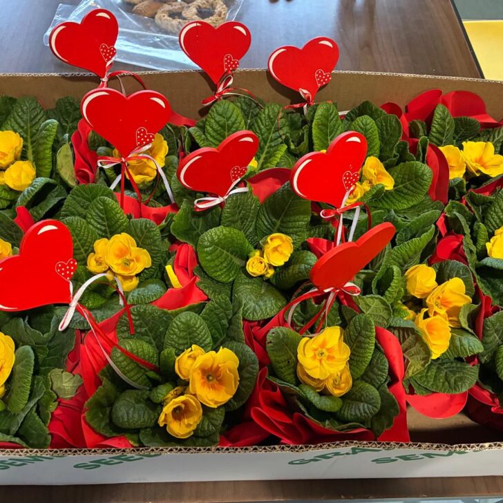 Fiori per pazienti e operatori dell’Hospice di Belgioioso. Il dono anonimo che ha scaldato il cuore a San Valentino