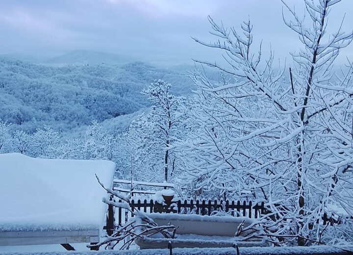 Le vostre foto dalla provincia imbiancata
