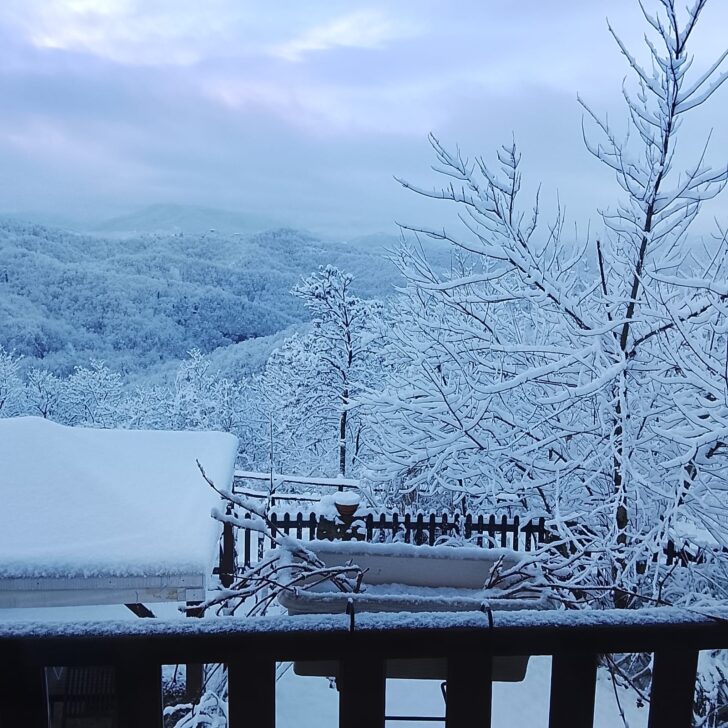 Le vostre foto dalla provincia imbiancata