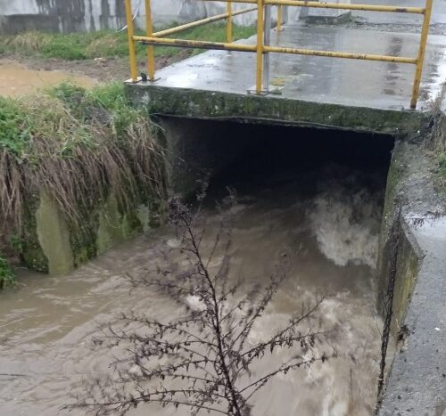 Rio Lovassina nell’alveo ma chiesti sacchetti per precauzione