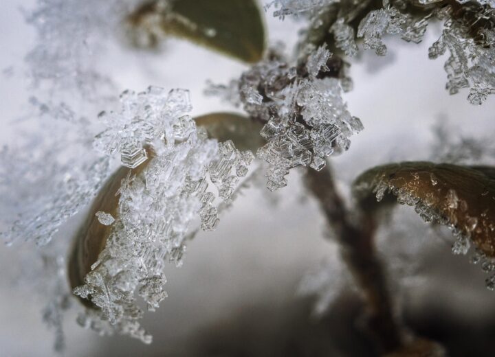 Meteo: da lunedì precipitazioni in provincia, martedì possibili nevicate in collina