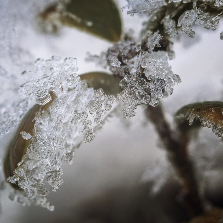 Meteo: da lunedì precipitazioni in provincia, martedì possibili nevicate in collina