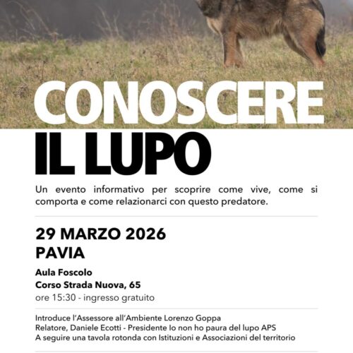 Conoscere il lupo per non averne paura