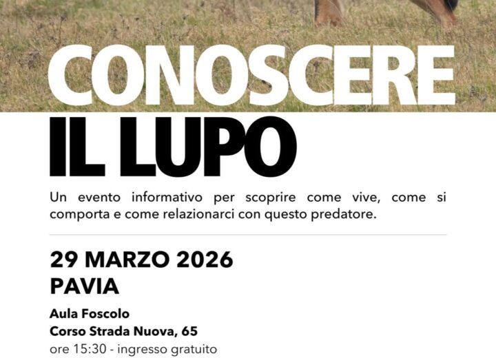 Conoscere il lupo per non averne paura