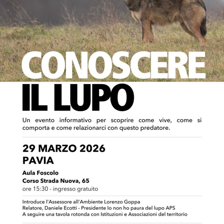 Conoscere il lupo per non averne paura