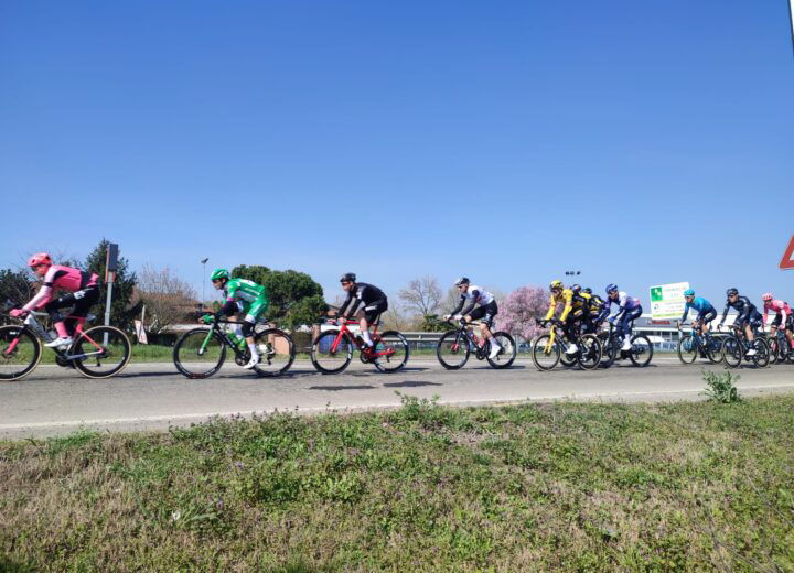 Milano–Sanremo 2026. Pavia si prepara alla partenza con una settimana di eventi