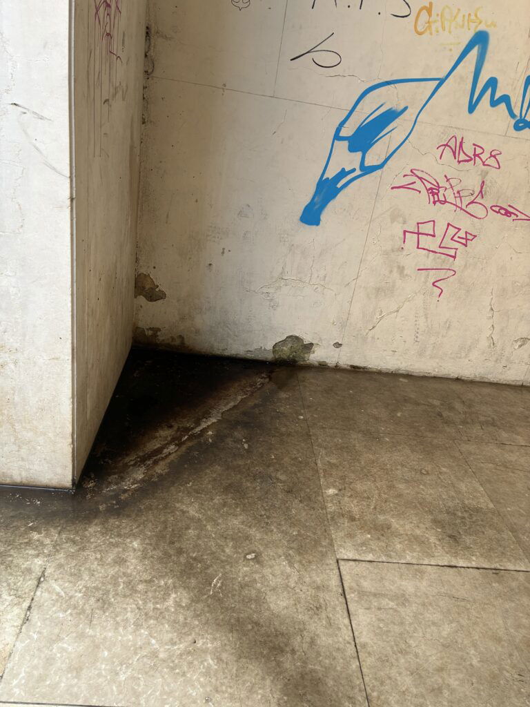 Pulizia spazi ex Banca d'Italia