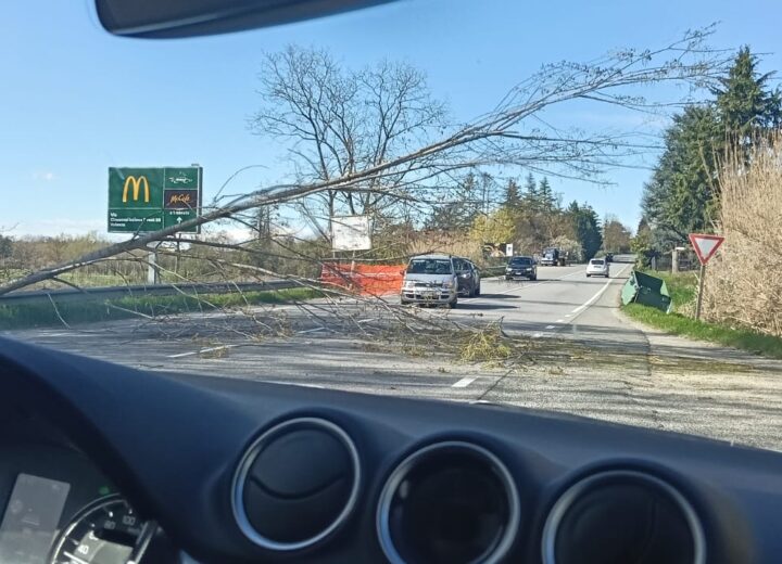 Vento sferza l’Alessandrino: alberi sulla strada tra Alessandria e Valenza e nel Tortonese