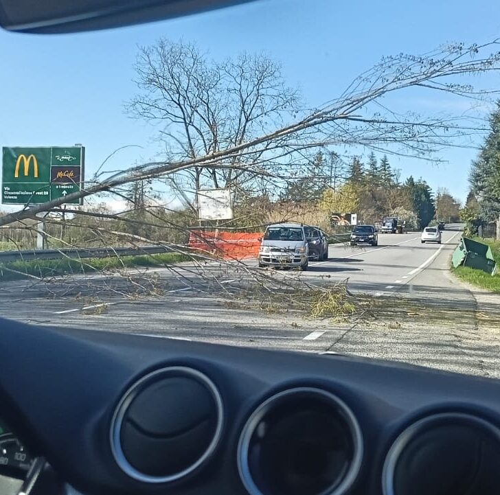 Vento sferza l’Alessandrino: alberi sulla strada tra Alessandria e Valenza e nel Tortonese